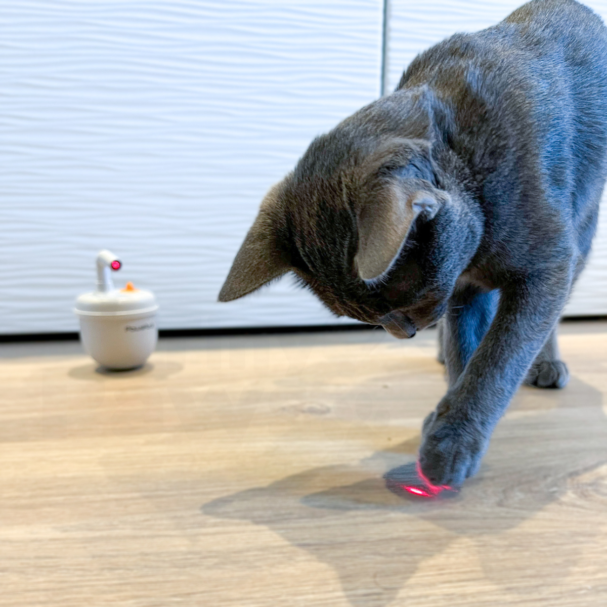 Interactive Laser Tumbler with Catnip Infuser