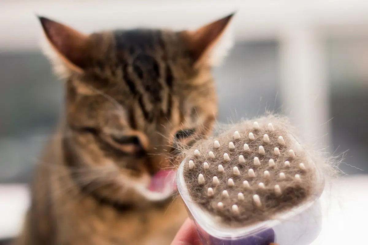 Bionipet Silicone Pet DeShedding Brush