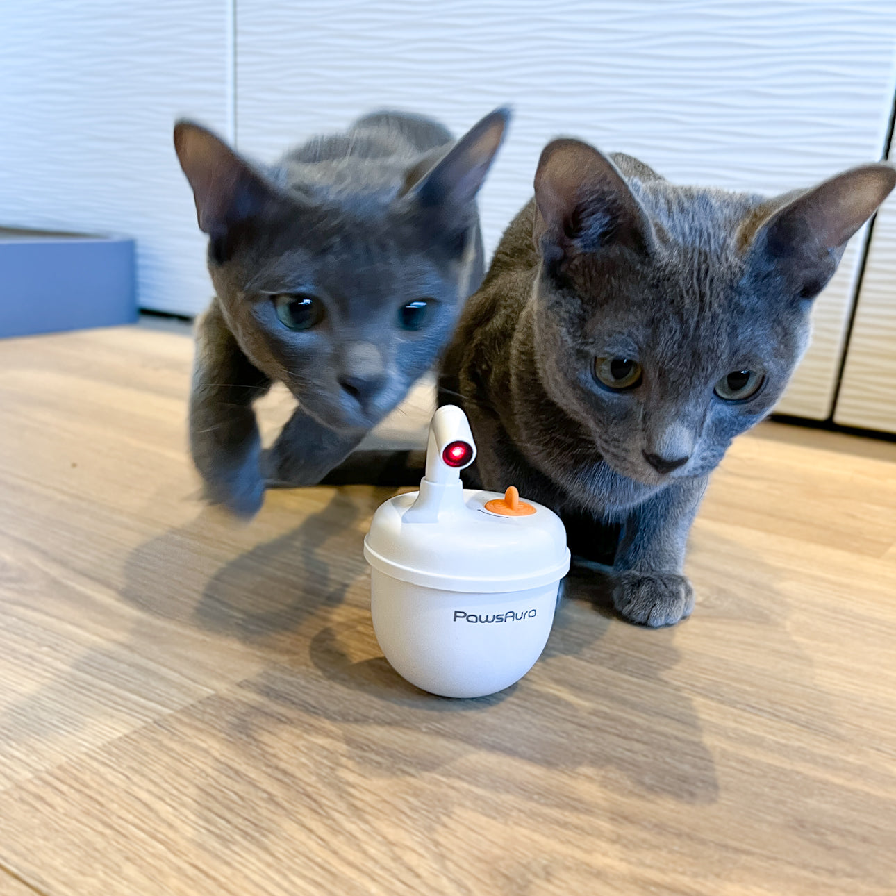 Interactive Laser Tumbler with Catnip Infuser