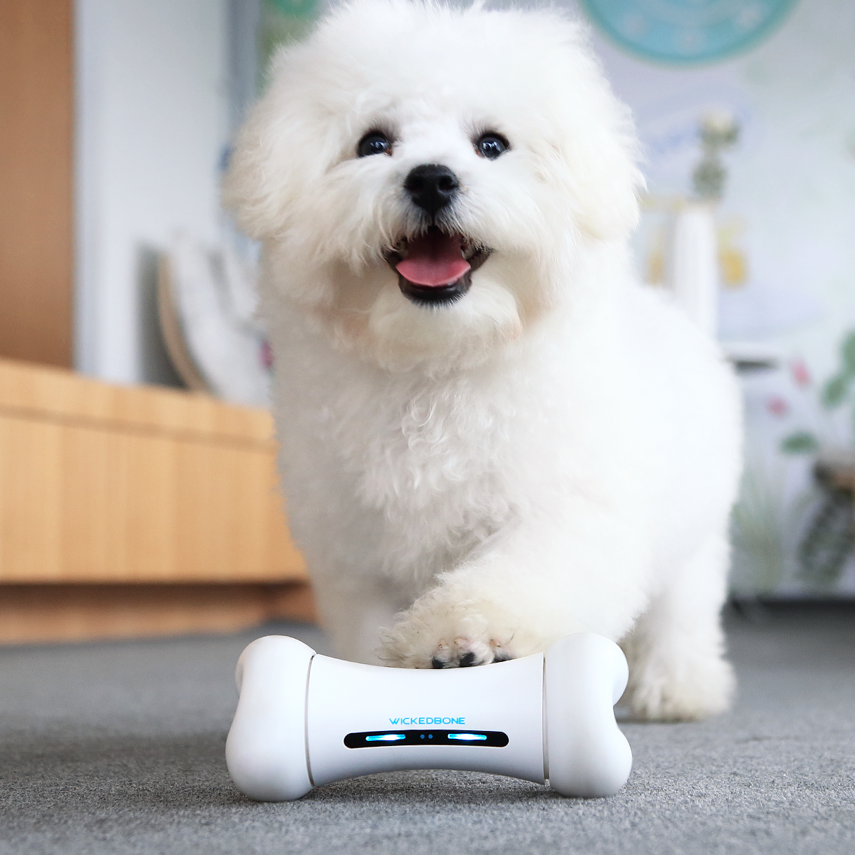 Bone Chaser Interactive Smart Pet Toy (App Controlled)