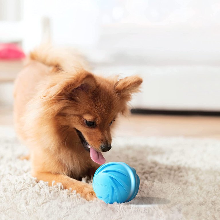 Interactive Self Moving Dog Ball Toy