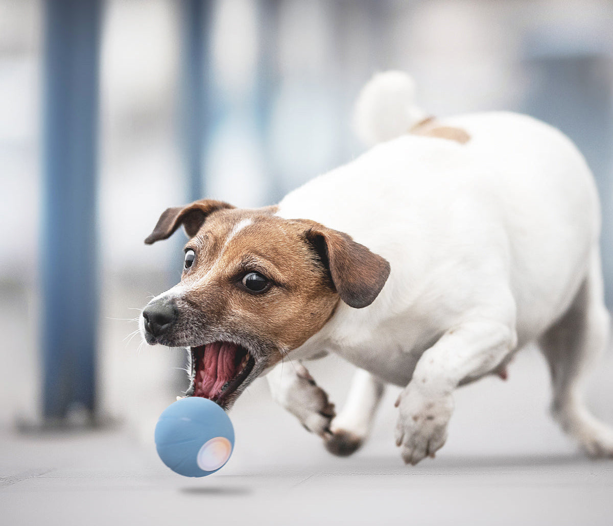 Self Moving Interactive Ball Toy For Small Pets