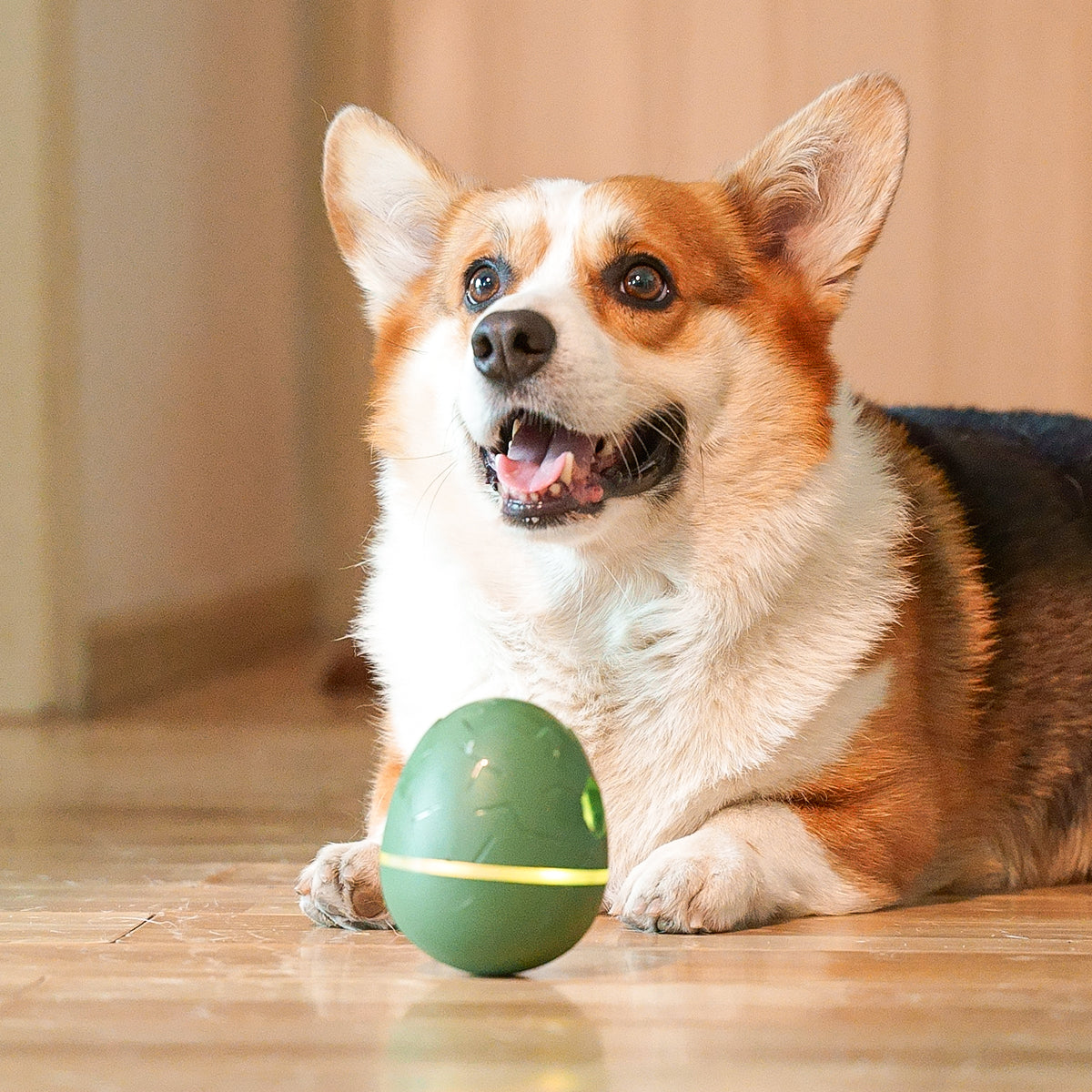 Treat Dispenser Interactive Pet Toy